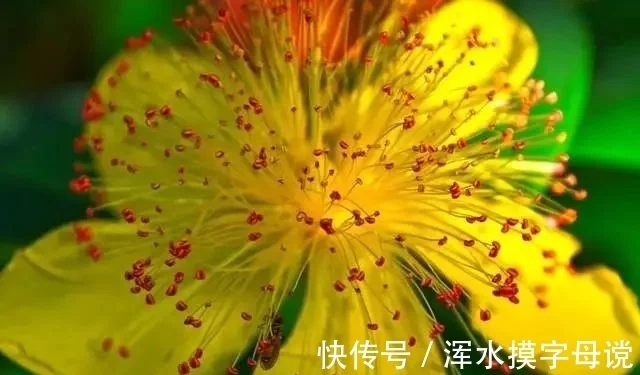 死神都不敢惹这4星座，个性十分强悍，能爆发出超乎想象的力量