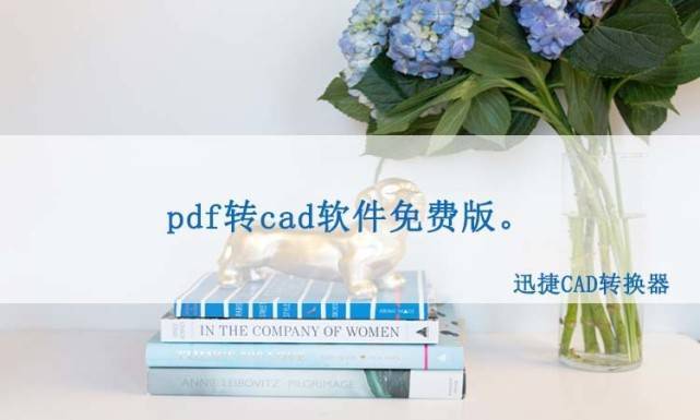 pdf转cad的软件有吗？试试 这 个 免 费 版 的 cad转换工具！